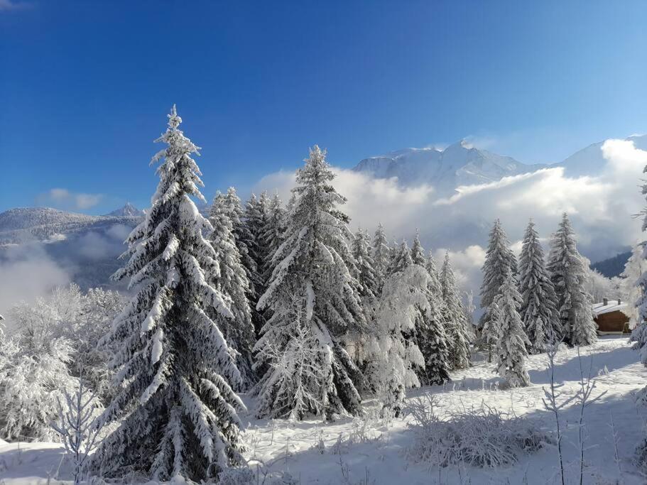 Le Cocon Du Bettex 1400 - Cozy Apt Near Mont Blanc Saint-Gervais-les-Bains Εξωτερικό φωτογραφία